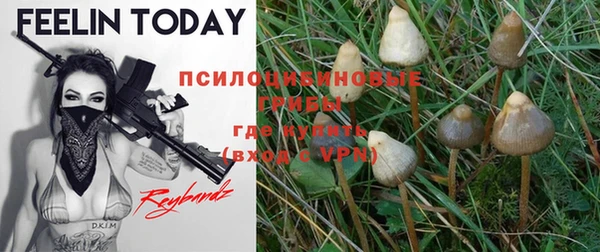 прущий лед Кинешма